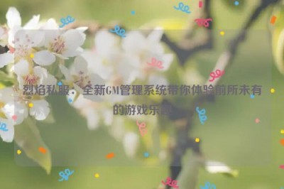 烈焰私服：全新GM管理系统带你体验前所未有的游戏乐趣