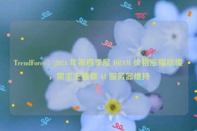 TrendForce：2024 年第四季度 DRAM 价格涨幅放缓，需求主要靠 AI 服务器维持