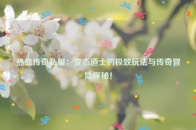 热血传奇私服：变态道士的极致玩法与传奇冒险探秘！