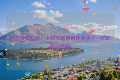 热血传奇私服：上线五条狗带你体验不一样的冒险旅程！