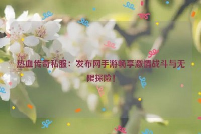 热血传奇私服：发布网手游畅享激情战斗与无限探险！