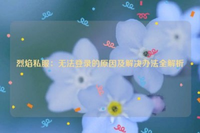 烈焰私服：无法登录的原因及解决办法全解析