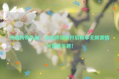 热血传奇私服：全新体验服开启畅享无限激情与冒险乐趣！