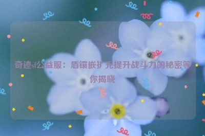 奇迹sf公益服：盾镶嵌扩充提升战斗力的秘密等你揭晓