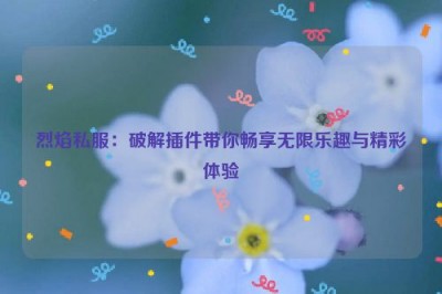 烈焰私服：破解插件带你畅享无限乐趣与精彩体验