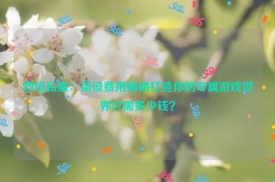 烈焰私服：架设费用揭秘打造你的专属游戏世界只需多少钱？