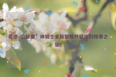 奇迹sf公益服：神骑士全新冒险开启你的传奇之旅！