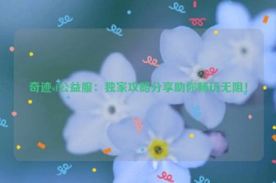 奇迹sf公益服：独家攻略分享助你畅玩无阻！