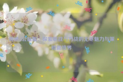 奇迹sf公益服：探索敏战与力战的无尽魅力与策略新境界