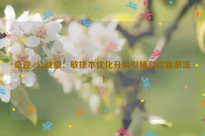 奇迹sf公益服：敏捷本优化升级引领游戏新潮流！