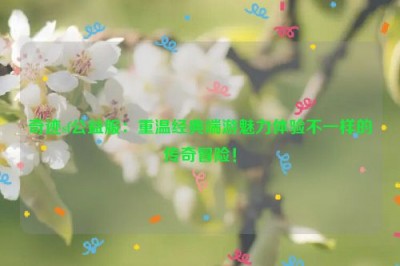 奇迹sf公益服：重温经典端游魅力体验不一样的传奇冒险！