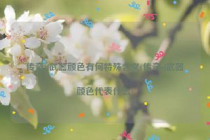 传奇sf武器颜色有何特殊含义(传奇sf武器颜色代表什么)