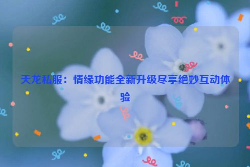 天龙私服：情缘功能全新升级尽享绝妙互动体验