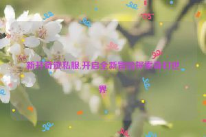 新开奇迹私服,开启全新冒险探索奇幻世界