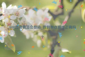 SF88传奇精品会员站_我的加点路线正确吗？