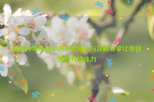 最新传奇私服中的实用技巧与攻略分享让你快速提升战斗力