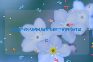 最新奇迹私服网,探索无限世界的奇幻冒险