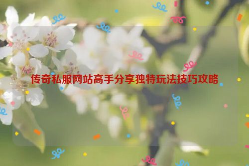 传奇私服网站高手分享独特玩法技巧攻略