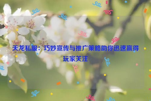 天龙私服：巧妙宣传与推广策略助你迅速赢得玩家关注