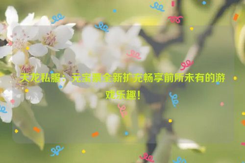 天龙私服：元宝票全新扩充畅享前所未有的游戏乐趣！