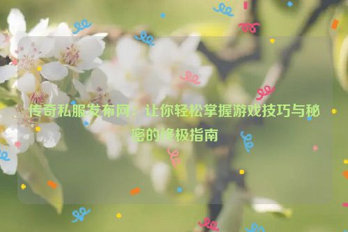 传奇私服发布网：让你轻松掌握游戏技巧与秘密的终极指南