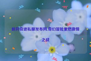 新开奇迹私服发布网,奇幻冒险重燃激情之战