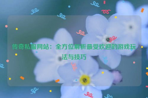 传奇私服网站：全方位解析最受欢迎的游戏玩法与技巧