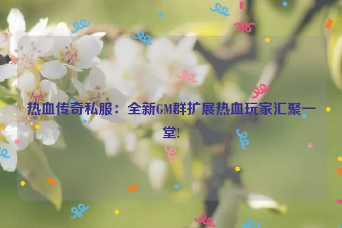 热血传奇私服：全新GM群扩展热血玩家汇聚一堂!