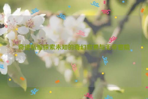 奇迹私服探索未知的奇幻世界与无尽冒险