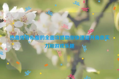 热血传奇私服的全面攻略助你快速提升角色实力和游戏乐趣