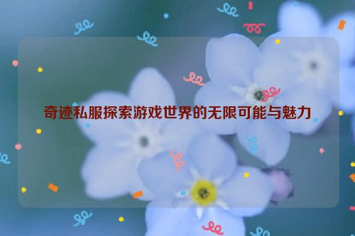 奇迹私服探索游戏世界的无限可能与魅力