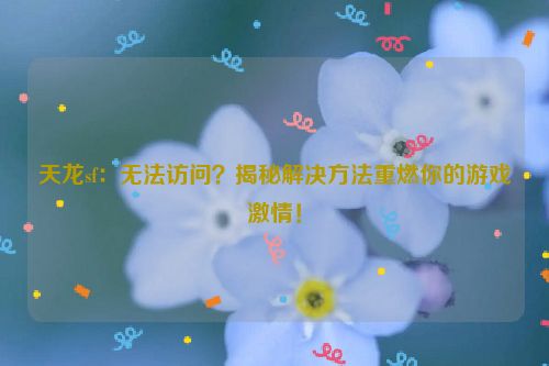 天龙sf：无法访问？揭秘解决方法重燃你的游戏激情！