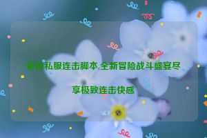 奇迹私服连击脚本,全新冒险战斗盛宴尽享极致连击快感