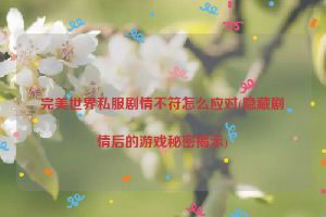 完美世界私服剧情不符怎么应对(隐藏剧情后的游戏秘密揭示)