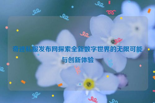 奇迹私服发布网探索全新数字世界的无限可能与创新体验