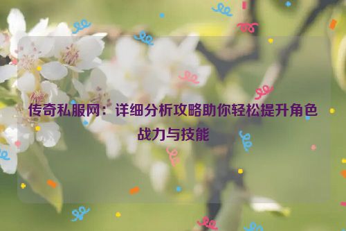 传奇私服网：详细分析攻略助你轻松提升角色战力与技能