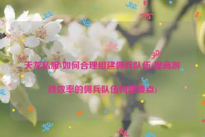 天龙私服-如何合理组建佣兵队伍(提高游戏效率的佣兵队伍构建要点)