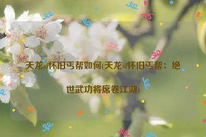 天龙sf怀旧丐帮如何(天龙sf怀旧丐帮：绝世武功将席卷江湖)