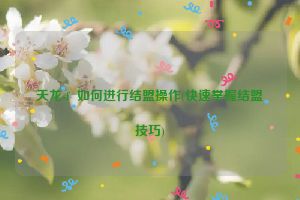 天龙sf  如何进行结盟操作(快速掌握结盟技巧)