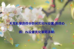 天龙私服游戏中如何优化PK设置(游戏心得：PK设置优化策略详解)