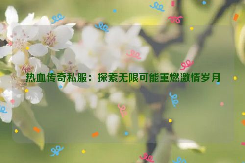 热血传奇私服：探索无限可能重燃激情岁月