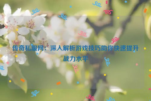 传奇私服网：深入解析游戏技巧助你快速提升战力水平