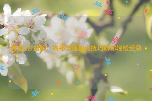 奇迹sf公益服：揭秘圣道加点技巧助你轻松逆袭！