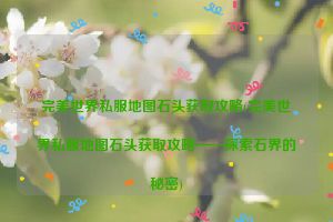 完美世界私服地图石头获取攻略(完美世界私服地图石头获取攻略——探索石界的秘密)