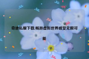 奇迹私服下载,畅游虚拟世界感受无限可能