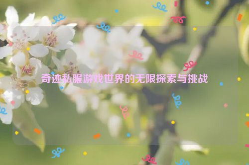 奇迹私服游戏世界的无限探索与挑战