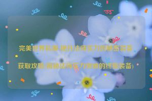 完美世界私服-提升法师实力的秘密装备获取攻略(揭秘法师实力突破的终极装备)