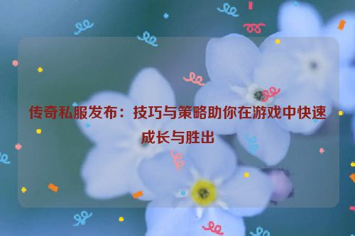 传奇私服发布：技巧与策略助你在游戏中快速成长与胜出