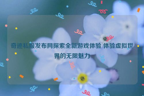 奇迹私服发布网探索全新游戏体验 体验虚拟世界的无限魅力