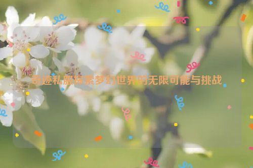 奇迹私服探索梦幻世界的无限可能与挑战